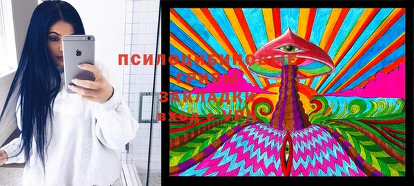 МДПВ Пересвет