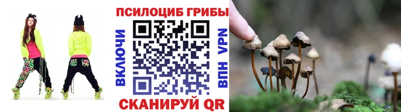 blacksprut tor  Красновишерск  Галлюциногенные грибы Psilocybine cubensis  darknet какой сайт  купить наркотик 